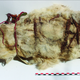 The remains of a white llama found at the site.